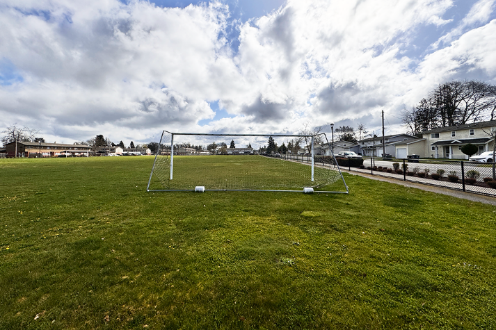 Athletic Field Grass