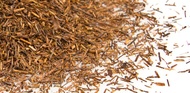 Red Earl Grey from T2