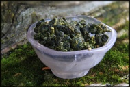 Golden Lily from Whispering Pines Tea Company