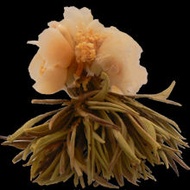 Camellia Beauty from Teas Etc
