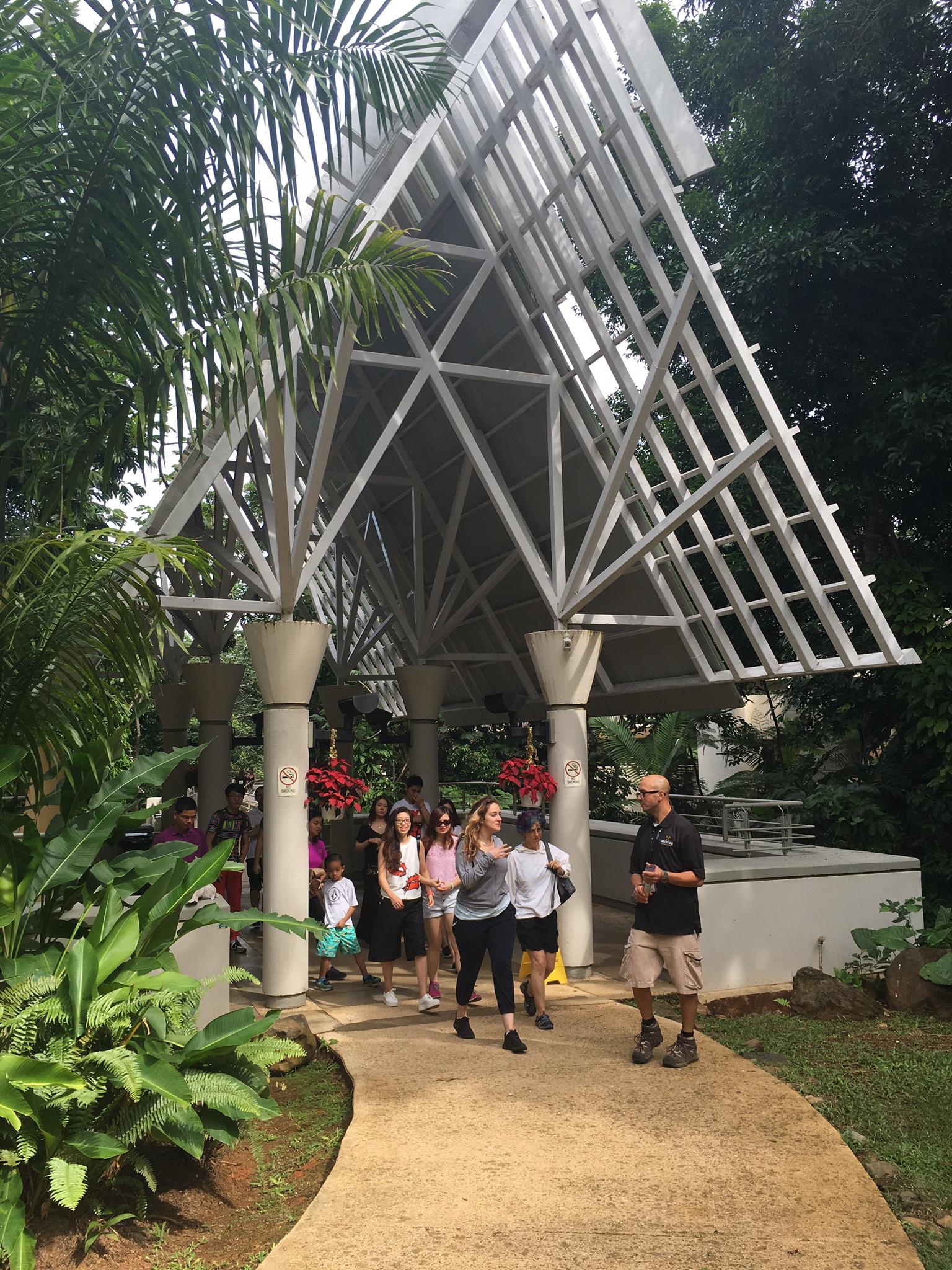 El Yunque & BioBay Combo Tour tour photo 9