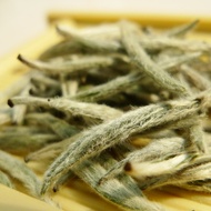 Silver Needle from Concept Teas