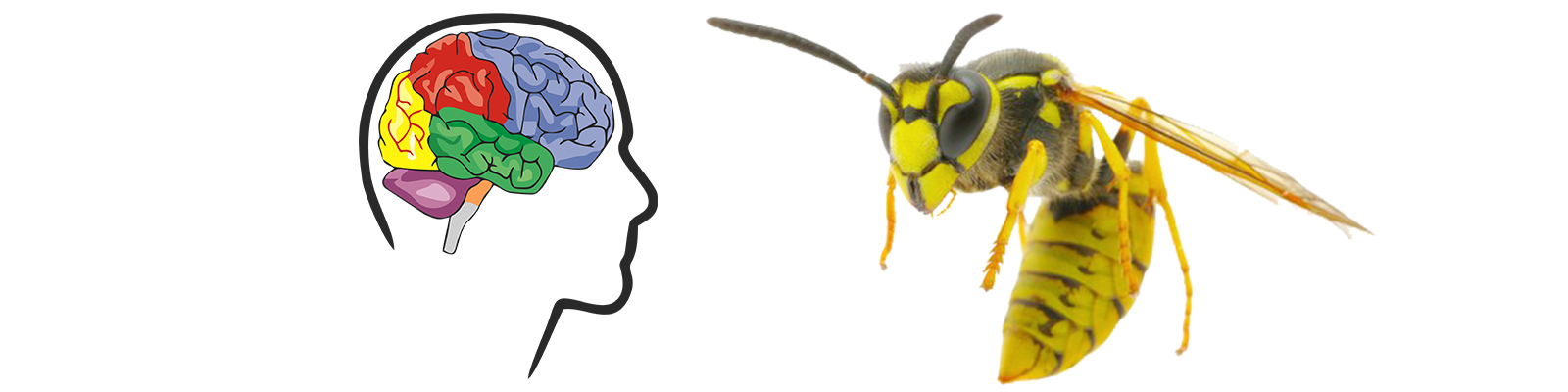 Mad Map Man logo
