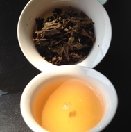 2015 Spring from TongAnHang from HongKong