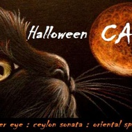 Halloween Cat from Adagio Custom Blends, Woodie Barnes-McWhirter