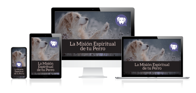 La Misión Espiritual de tu Perro