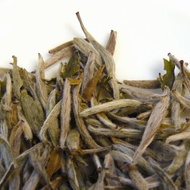 Yinzhen Bai Hao (Silver Needle) from In Pursuit of Tea