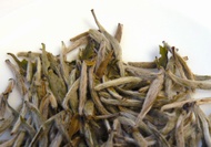 Yinzhen Bai Hao (Silver Needle) from In Pursuit of Tea