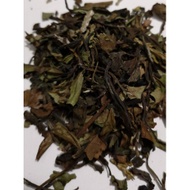 Will's Lodge from Thésaurus Tea