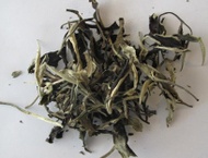 2013 Yue Guang Bai Premium Looseleaf Tea from PuerhShop.com