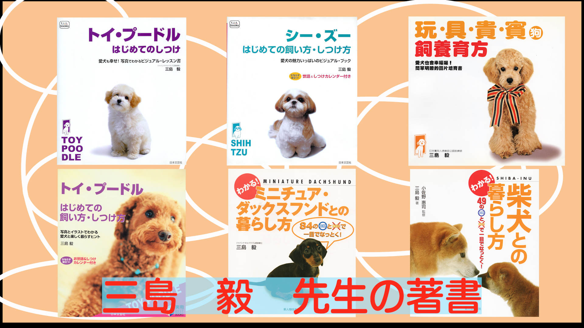 たくさんの理論的な実績