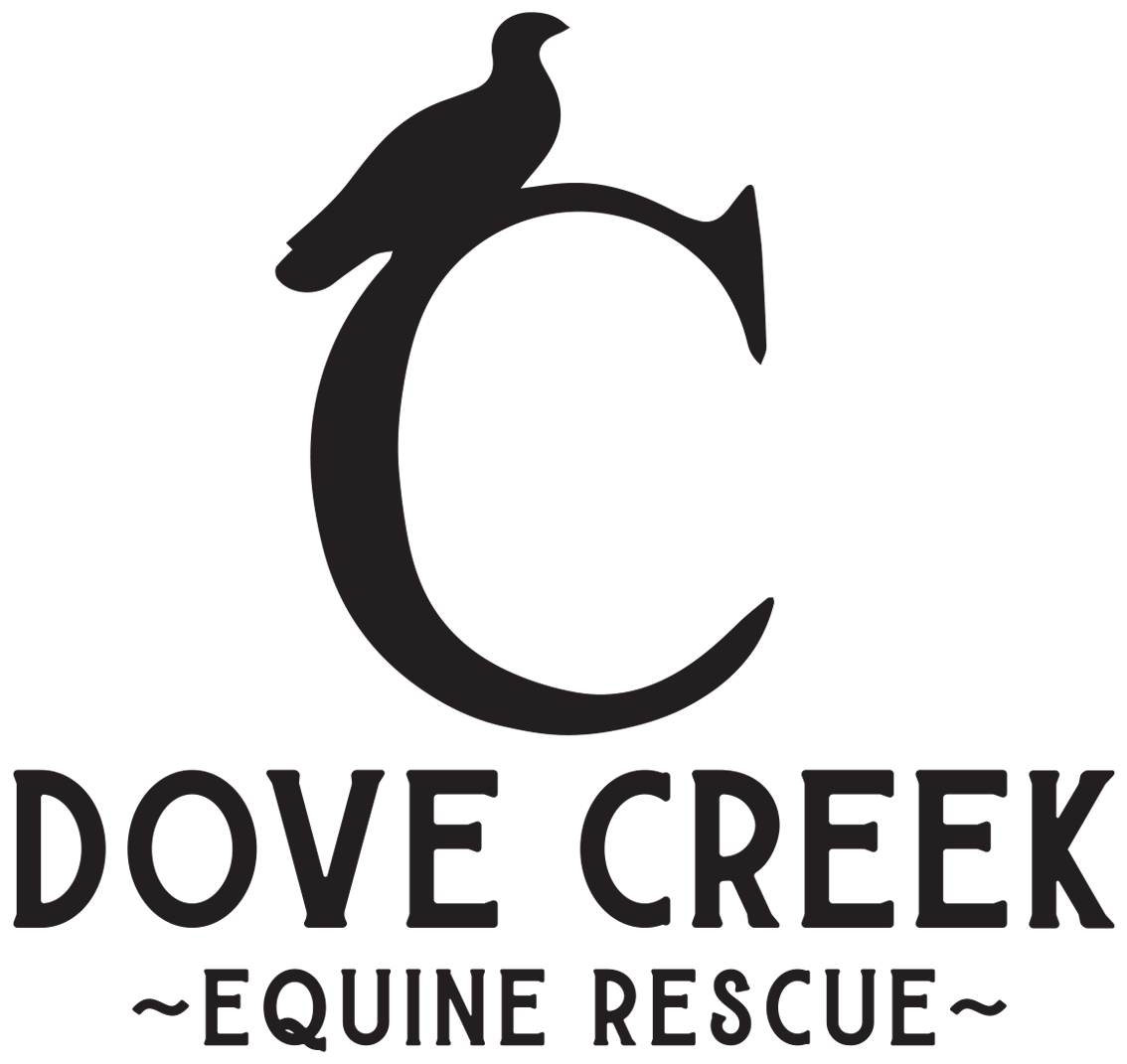 Dove Creek Equine Rescue logo