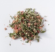 Spring from Well Rooted Teas