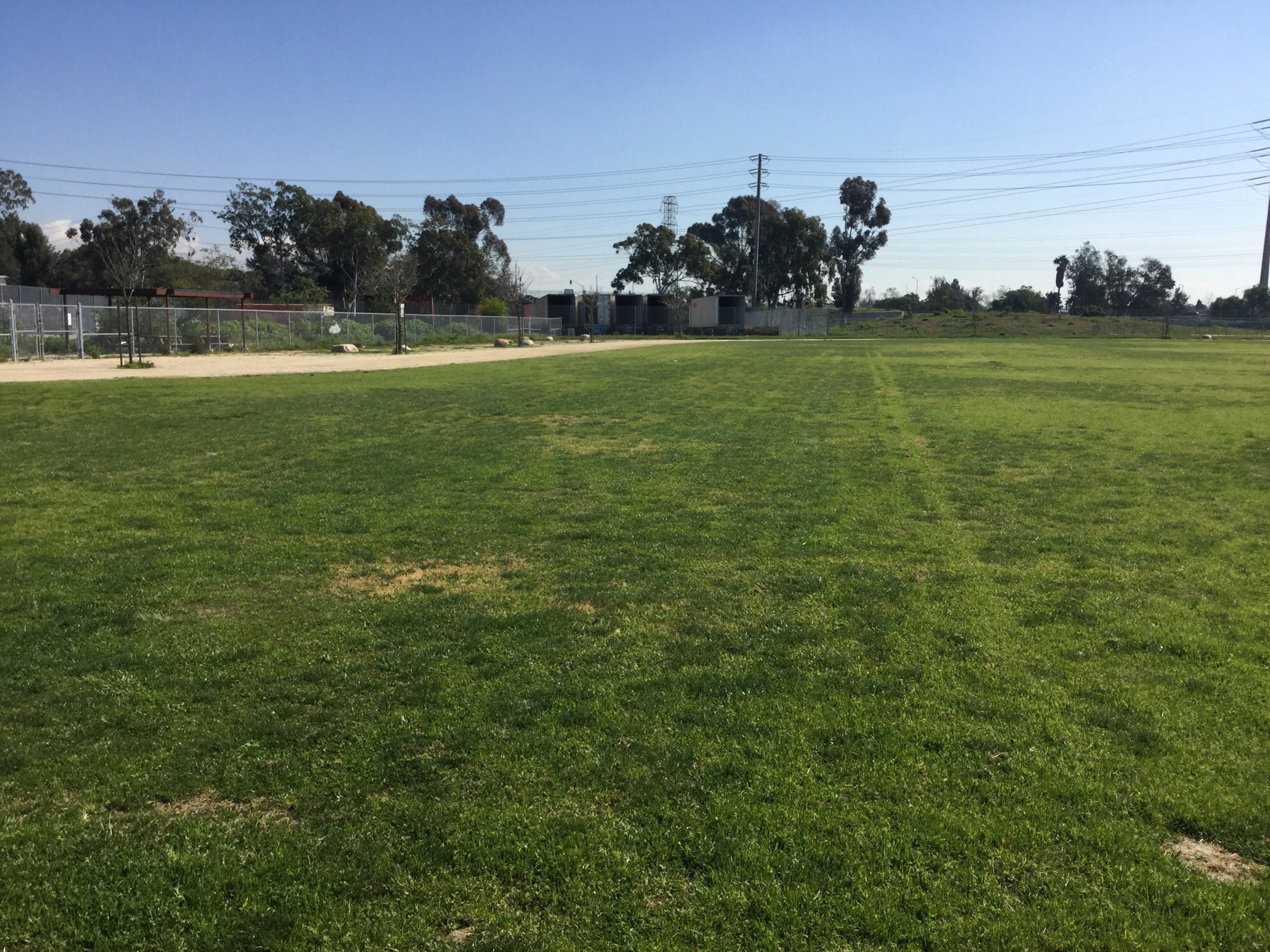 Field