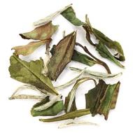 White Cucumber from Adagio Teas - Discontinued