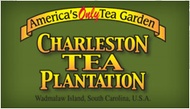 2007 First Flush from Charleston Tea Plantation