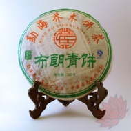 2009 Xinghai Bulang Qiaomu Sheng from Crimson Lotus Tea