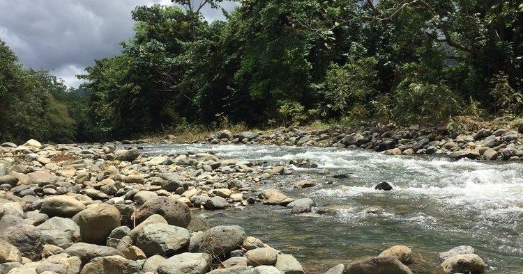 2-Hour Rainforest ATV Adventure tour photo 10