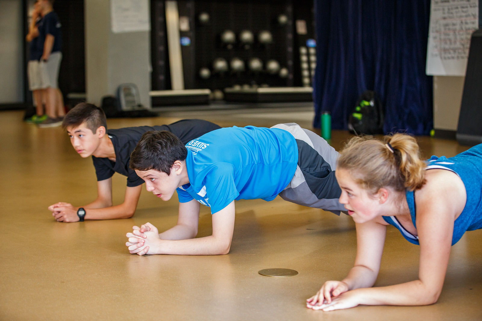 Introduction The HSS Sports Medicine Institute