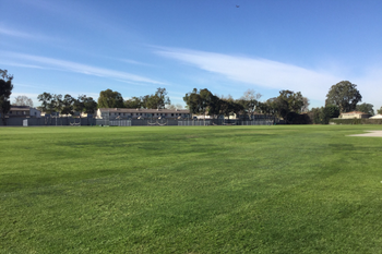 Field