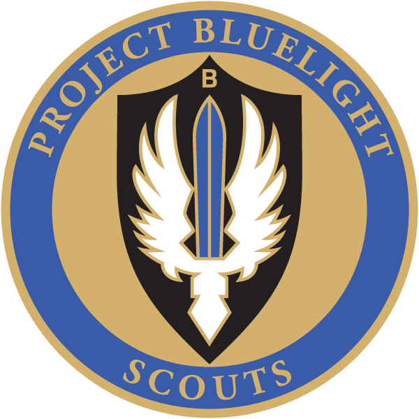 Project Bluelight Foundation logo