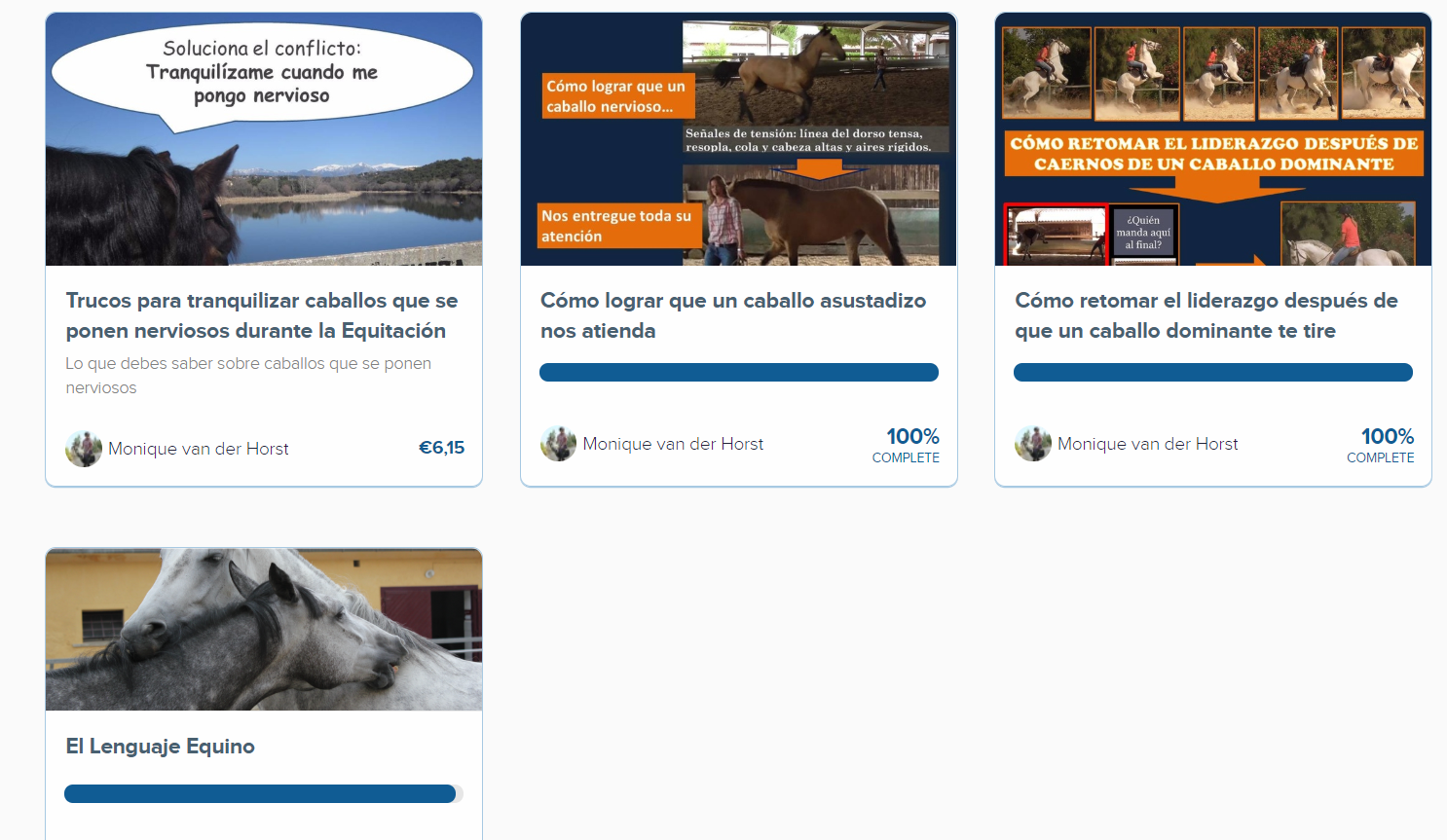 equierroreslab.teachable.com