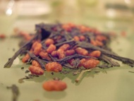 Dragon Crisp from Art of Tea