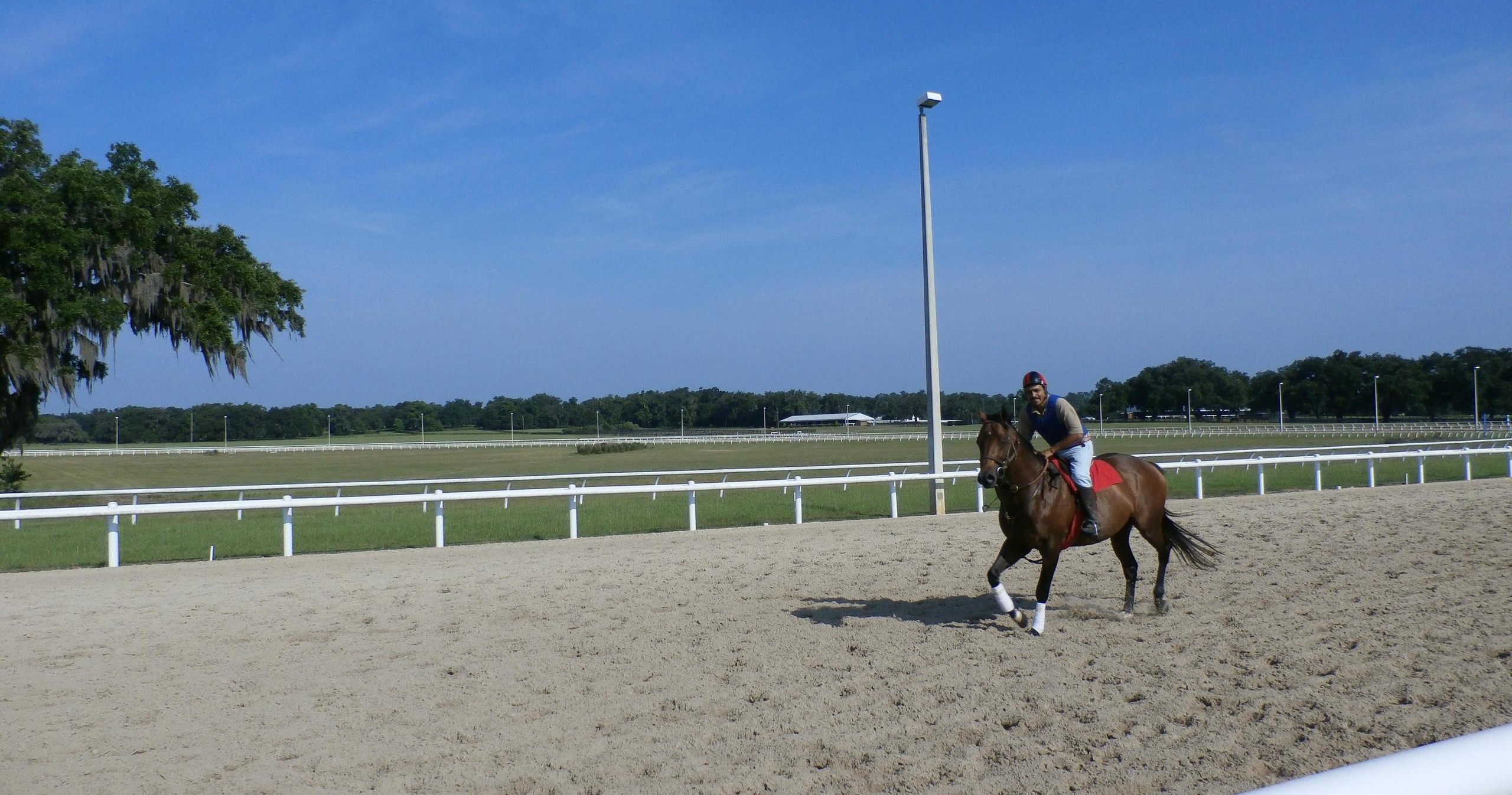 Insider's Farm Tour photo 3