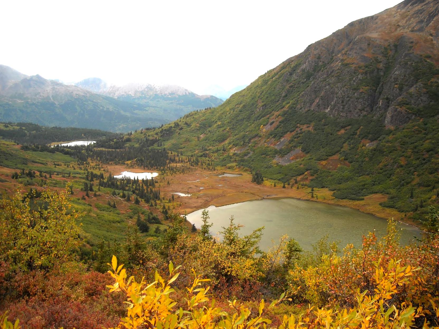 Wilderness Hiking in Kenai National Wildlife Refuge photo 3