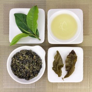 Lightly Baked Organic High Mountain Jin Xuan Oolong Tea, Lot 589 from Taiwan Tea Crafts