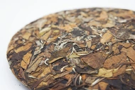 2008 Fuding Wild Tree Aged White Tea (Shou Mei) Cake from Crafted Leaf Tea