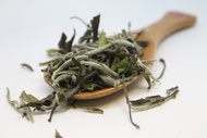 Imperial White Peony (Pai Mu Tan) from Tealux