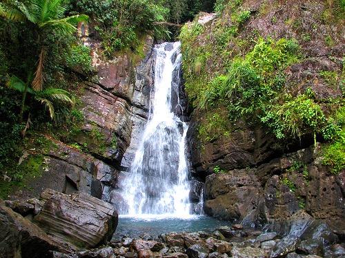 El Yunque Rainforest "Off the Beaten Path" Hiking Tour photo 5
