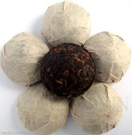 Ancient Golden Tuo Cha (Bird Nest) from Carytown Teas