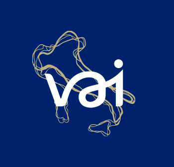 Suporte VAI