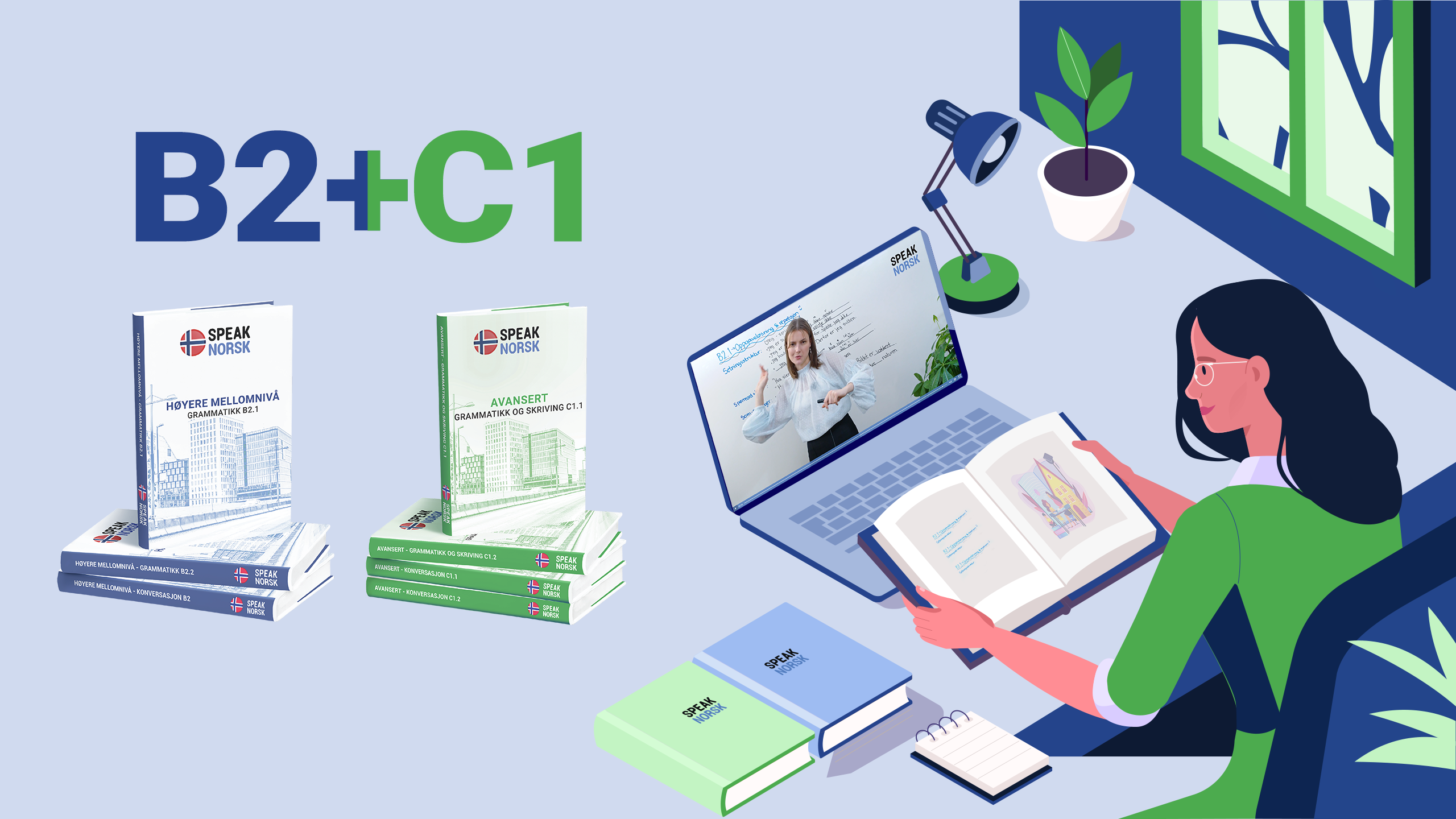 B2+C1 level online course package Speak Norsk