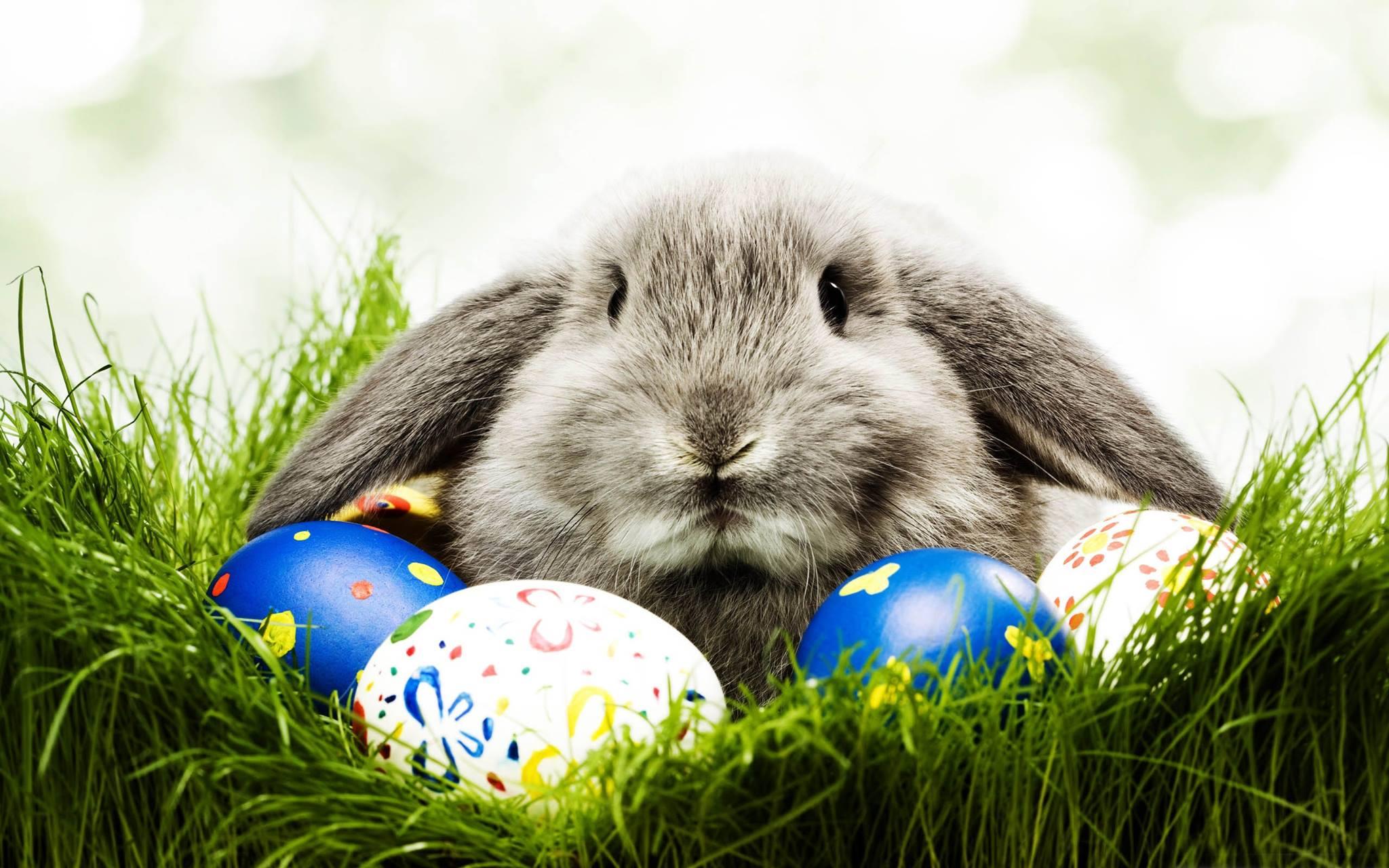 Celebrate Easter on the Water: Gateway Clipper’s Festive Pittsburgh Riverboat Cruise - Pittsburgh