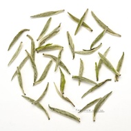 Organic Nonpareil Silver Needle White Tea (Bai Hao Yin Zhen) from Teavivre