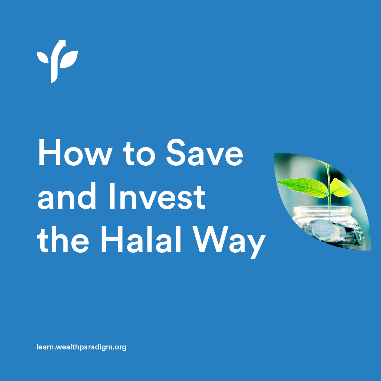 Halal Investment