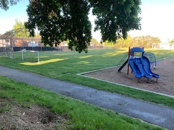 Field