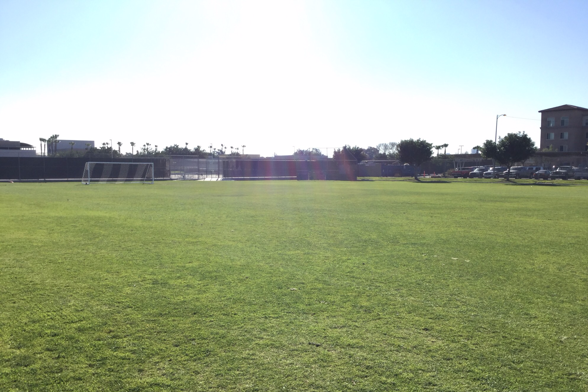 Field - C
