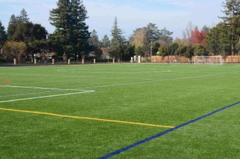 Field