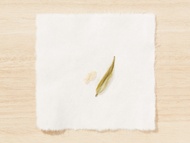 Snow Jasmine from Song Tea & Ceramics