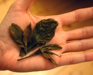 2010 Pu-erh.sk "Nan Nuo" from pu-erh.sk