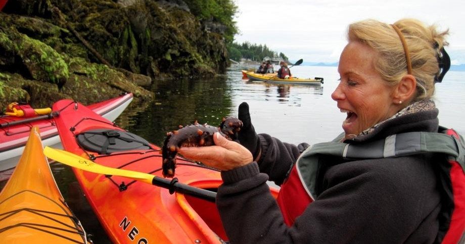 Sea Kayaking & Zodiac Tours with Ketchikan Kayak Company - Juneau, Alaska