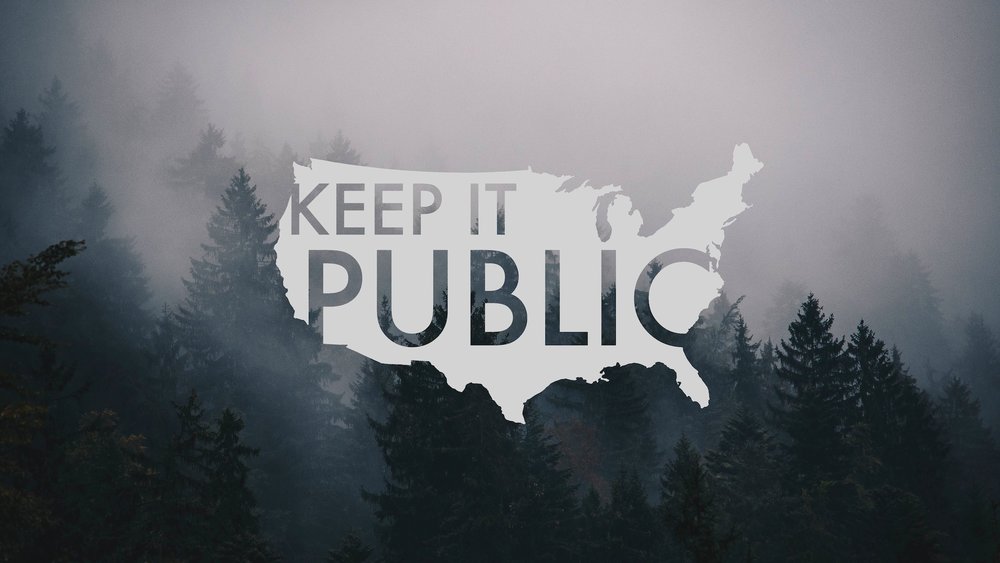 Keep It Public logo