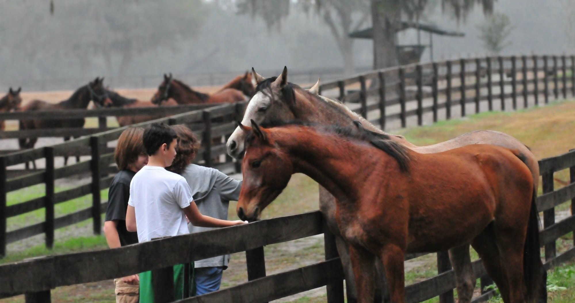 Farm Tour photo 1