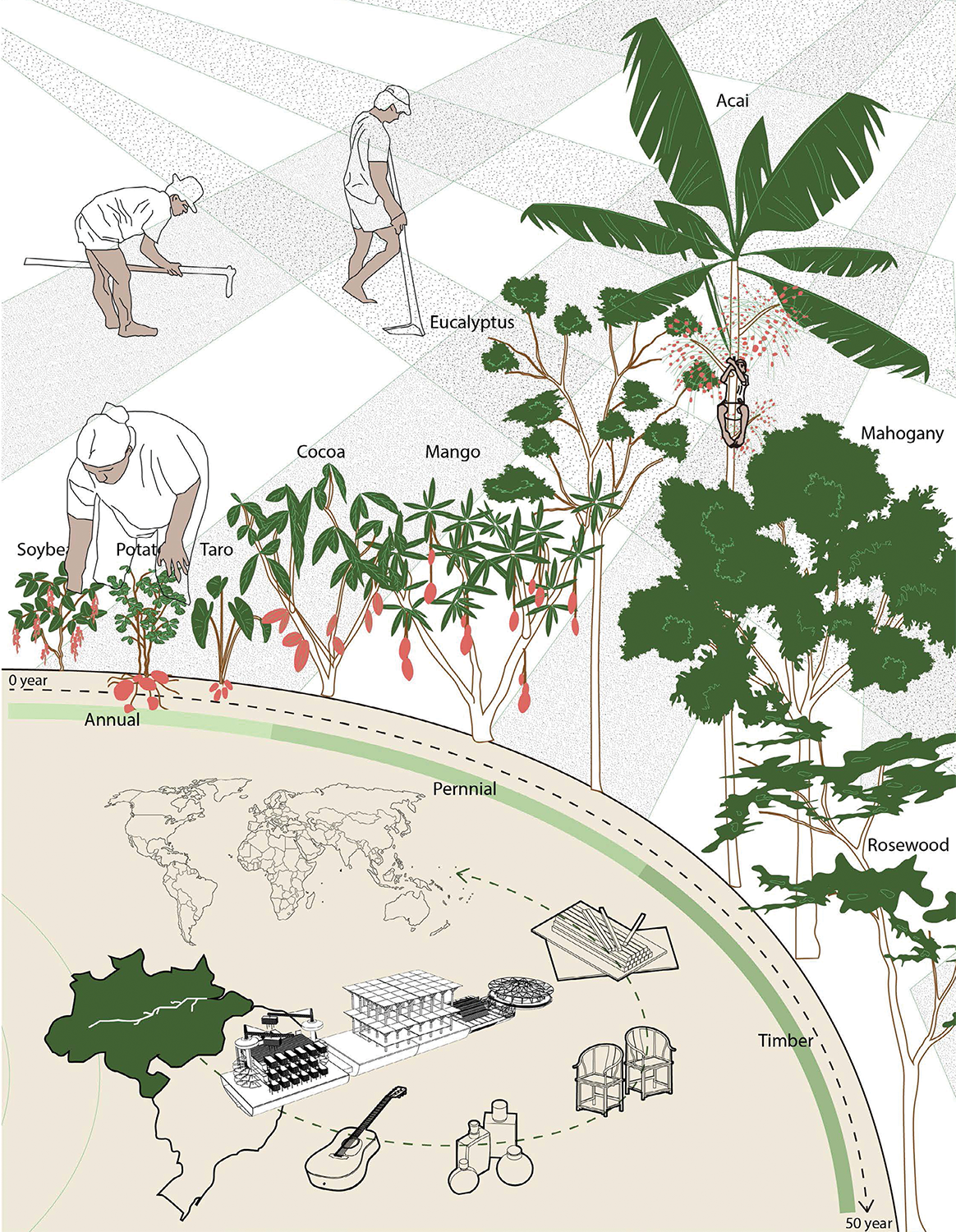 Reforestation Diagram - Columbia GSAPP