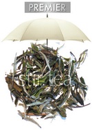 Premier White Peony from Stir Tea