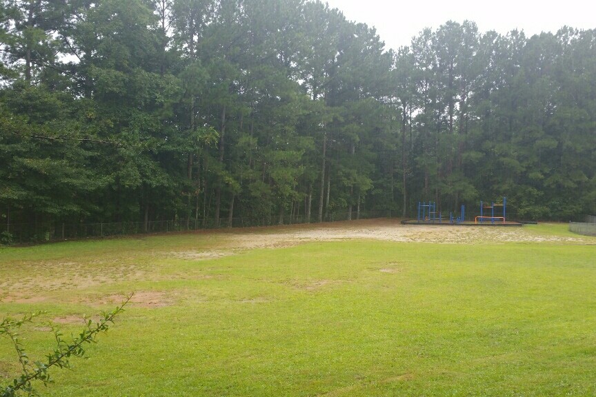 Field